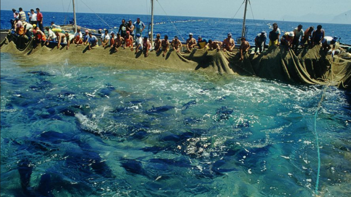 tonnara
